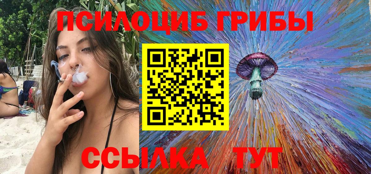 Кисловодск  Галлюциногенные грибы ЛСД  где купить наркоту  Вход с VPN 