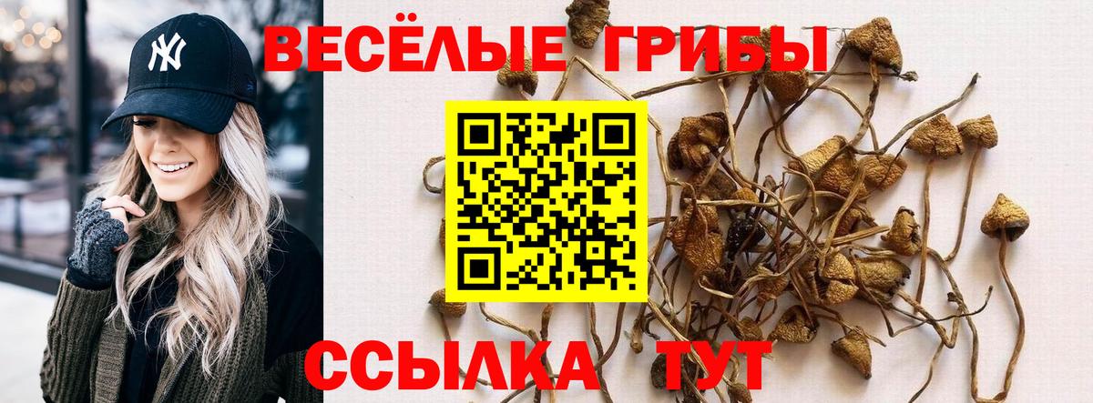 Галлюциногенные грибы GOLDEN TEACHER Кисловодск